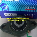 VÒNG BI UCFL203